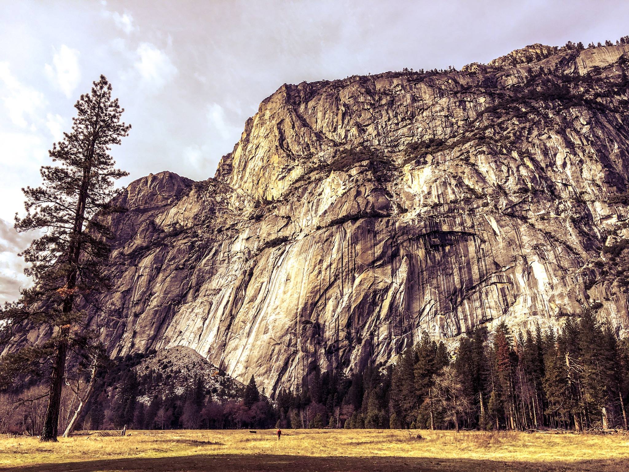 Yosemite, USA.